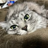 社会のゴミカザマタカフミ