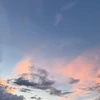 ゆゆゆ