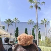 risa