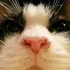ユカ