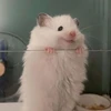 いやそうはならんやろ