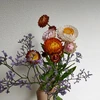 の