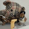 クマの紘二郎氏