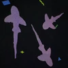 1989_ak