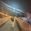 ナギ