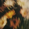 okkungram