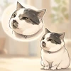 たかぼう