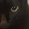 り