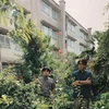 ひす