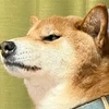 やけくそ