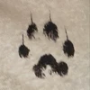 ニコ
