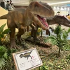 さっこ