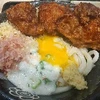 からあげうどん