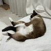 Mizuki1998