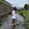 てぃむてぃむともちゃん