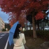 てん