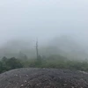 マ