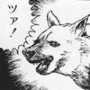 ツァ犬