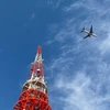 かき