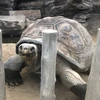 5次元ポケット