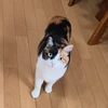 マキロン