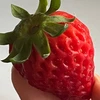は