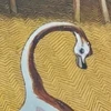 弥
