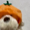 ナナ
