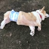 タカハギ一等兵