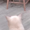 さや