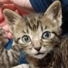 ゆき