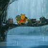 雨