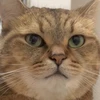 フク