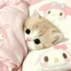 べどめろ