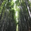 ドクターパパ初心者投資家