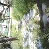 たっ