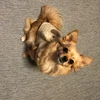 ユイカ