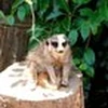かたぎり