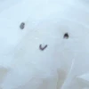 フクザワ