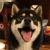 くろまる