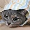 まあさんのはは