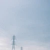 suu_film.