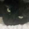 まみむめも