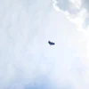 マ