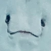 梅ちゃん