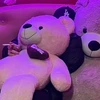 鳥の抜け殻