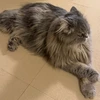 無ちゃん