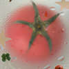 tomatoeater
