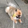 ゆう