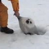 よっよよ